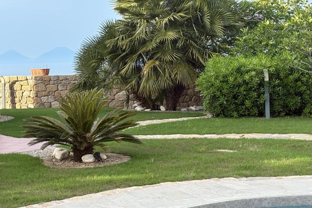 Photo of Others in Catute