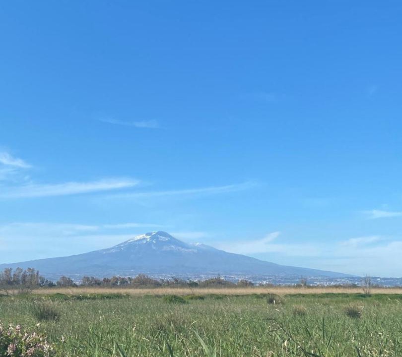 Photo of Others in Contrada Pantano d'Arci