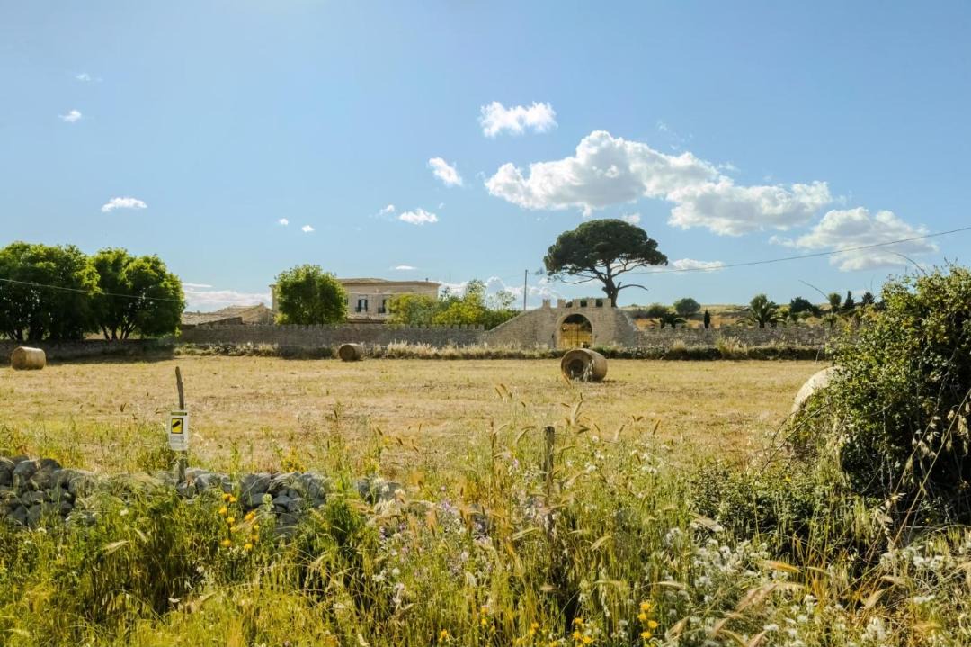 Photo of Others in Ragusa