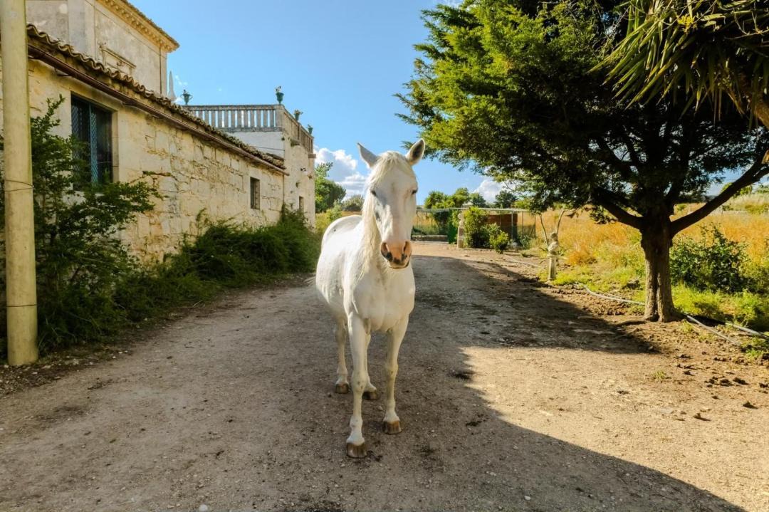 Photo of Others in Ragusa
