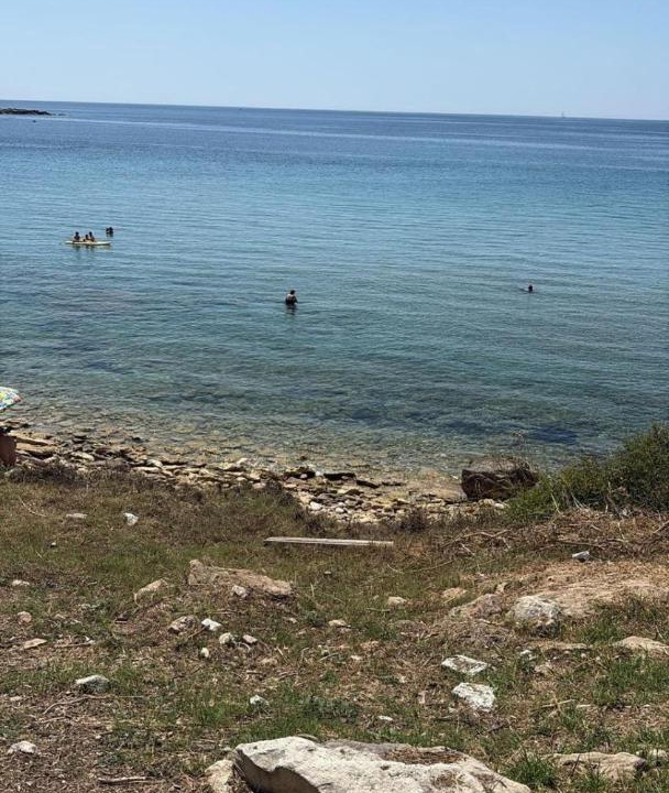 Photo of Others in Punta Milocca