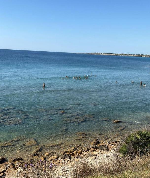 Photo of Others in Punta Milocca
