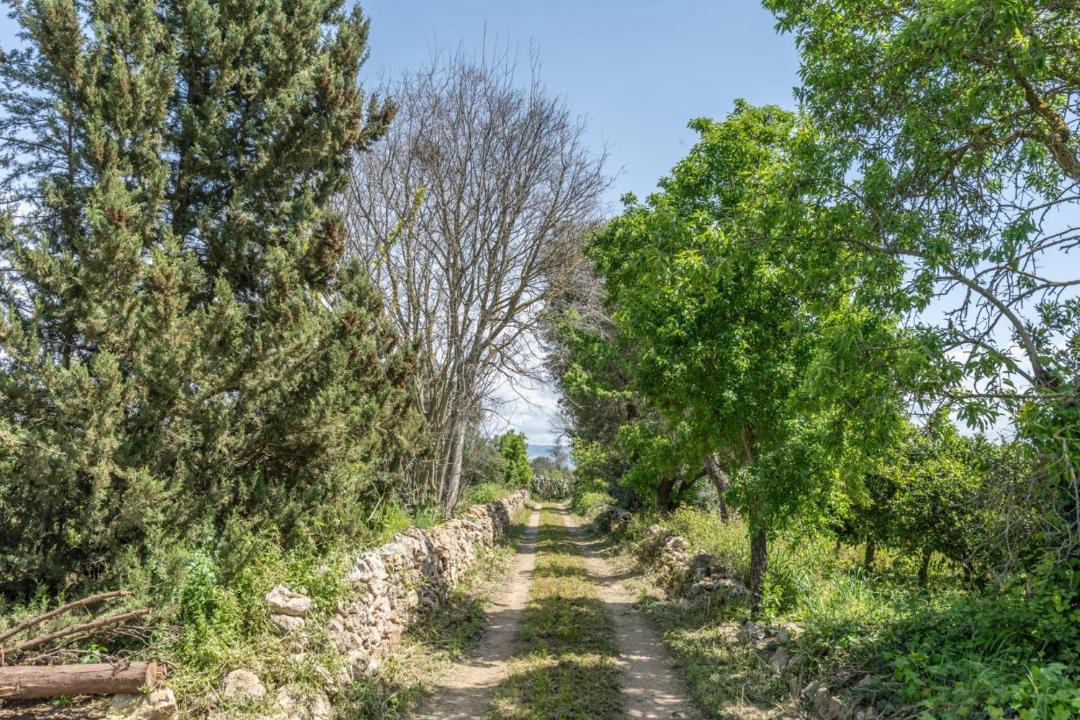 Photo of Others in Vittoria