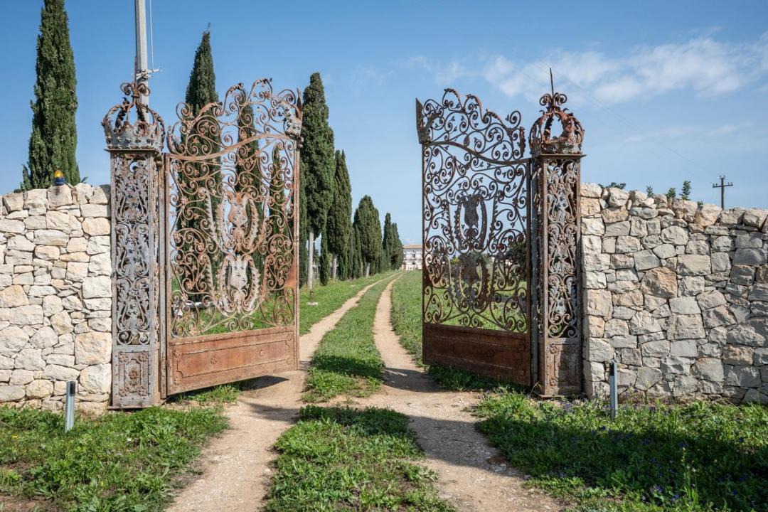 Photo of Others in Vittoria