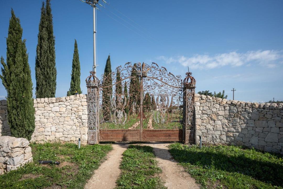 Photo of Others in Vittoria
