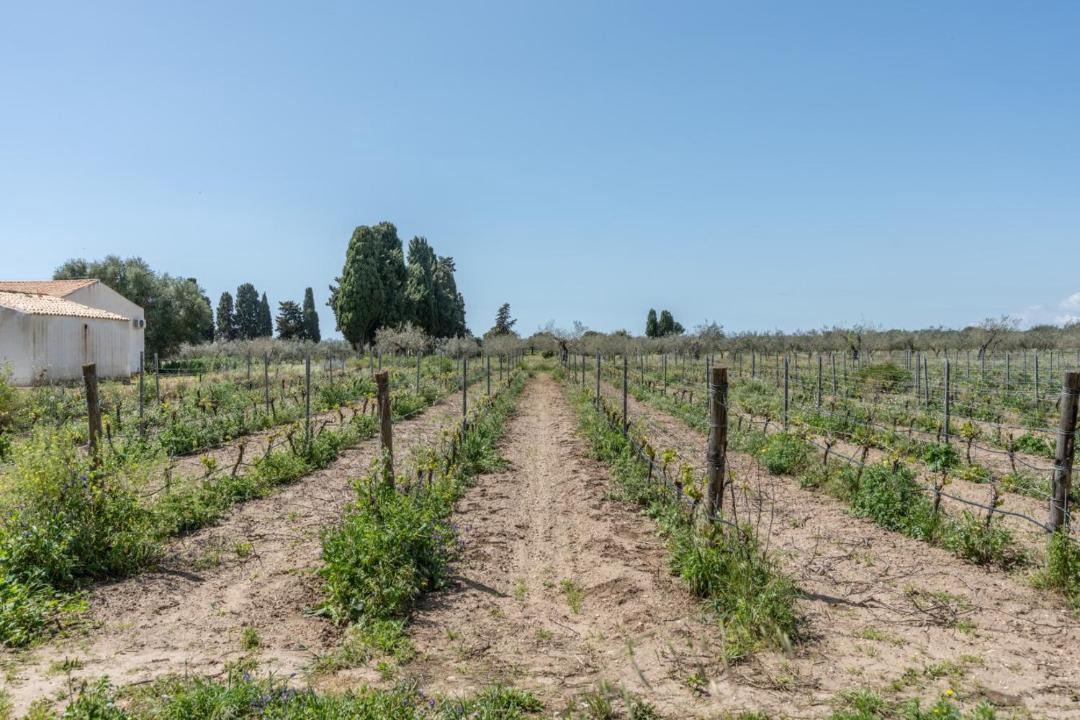 Photo of Others in Vittoria