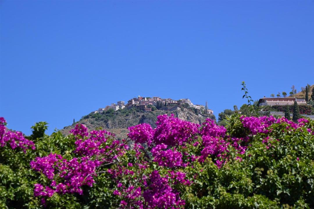 Photo of Others in Villagonia