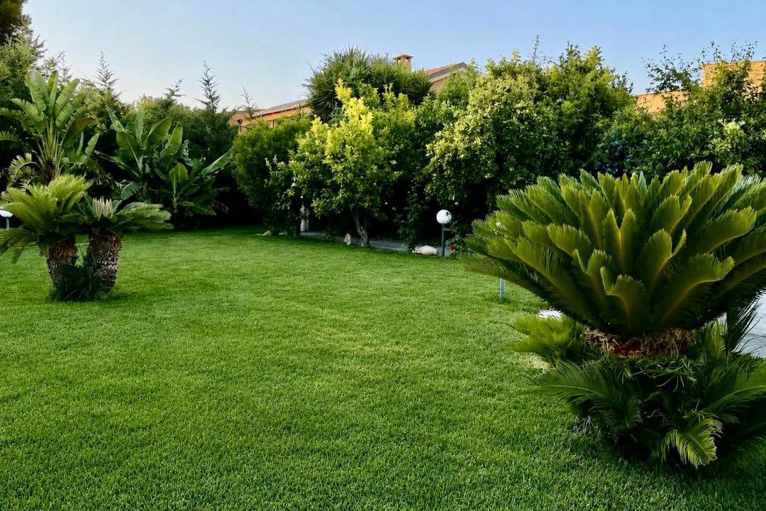 Photo of Others in Agrigento