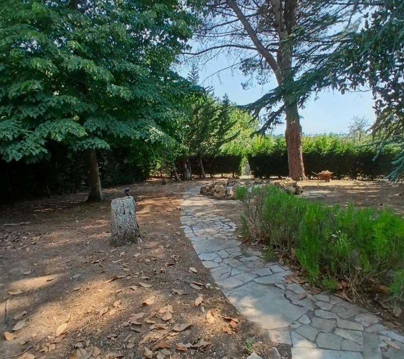 Photo of Others in Valle