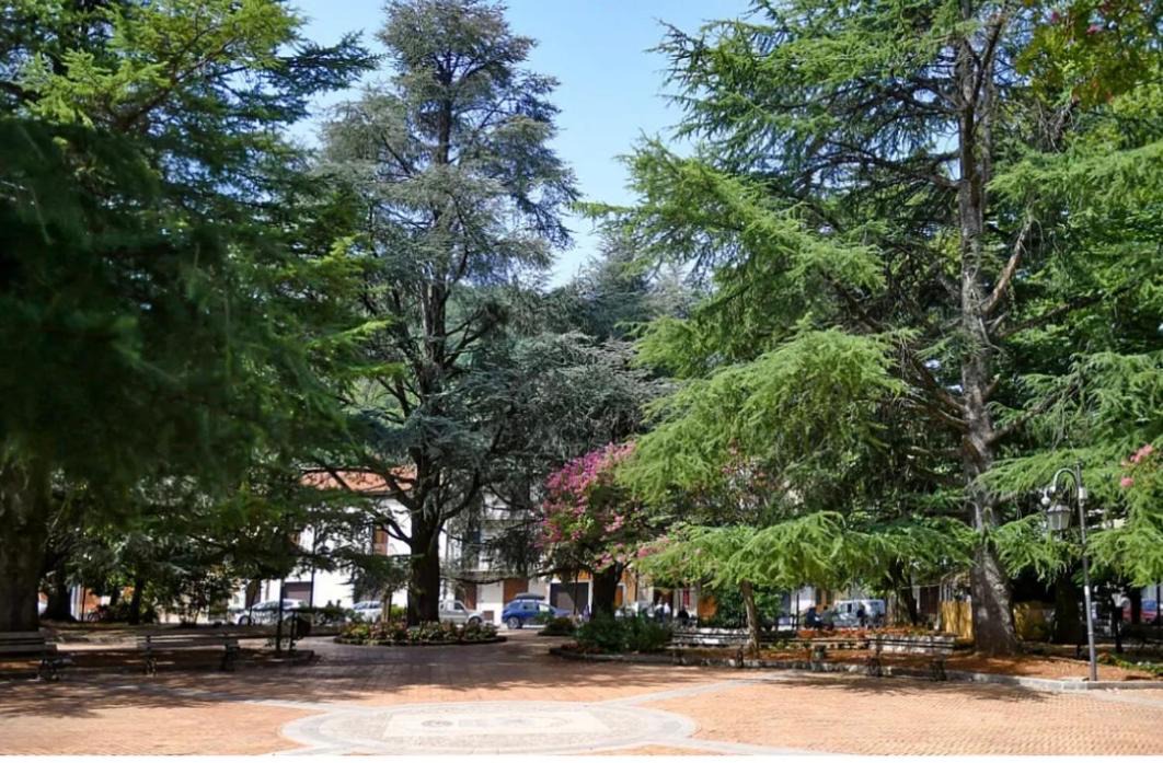 Photo of Others in Trecchina