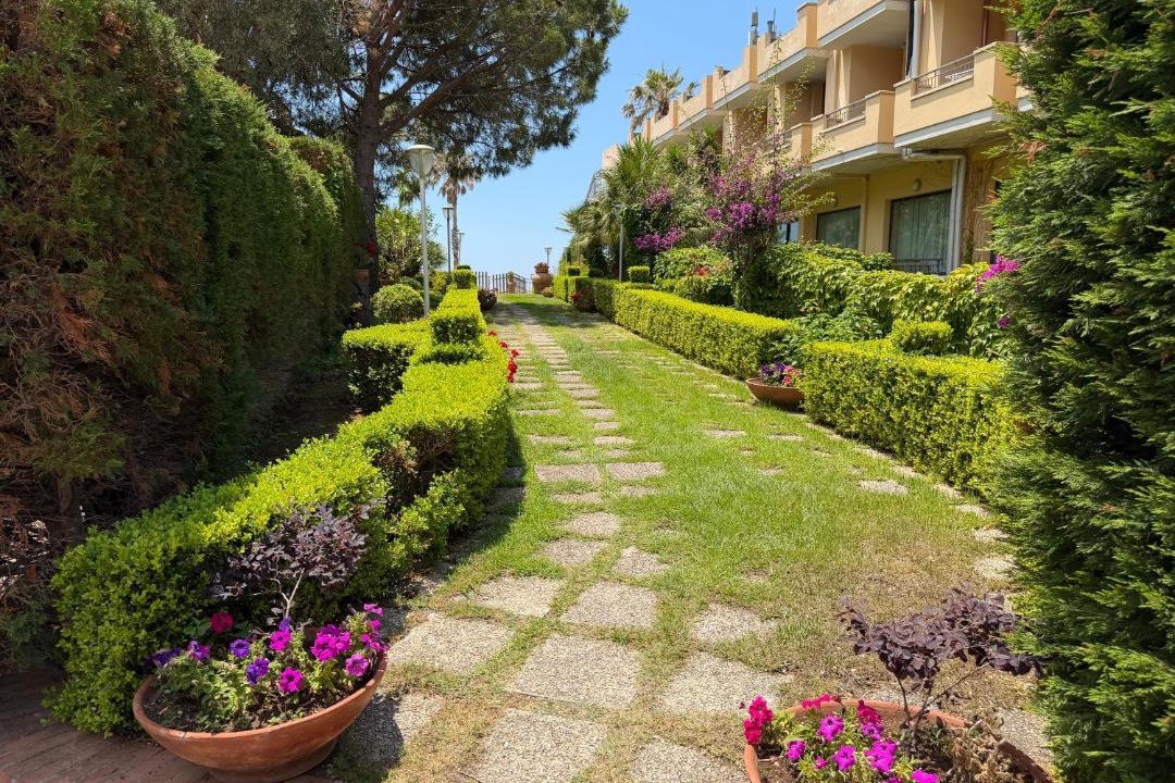 Photo of Others in Belvedere Marittimo