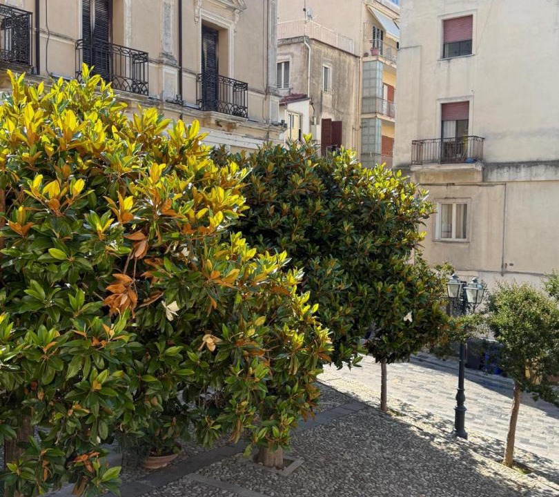 Photo of Others in Cetraro