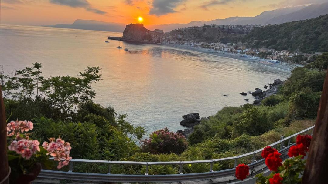 Photo of Others in Scilla