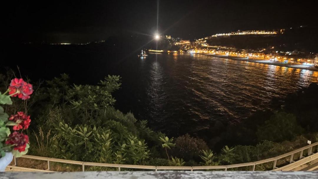 Photo of Others in Scilla