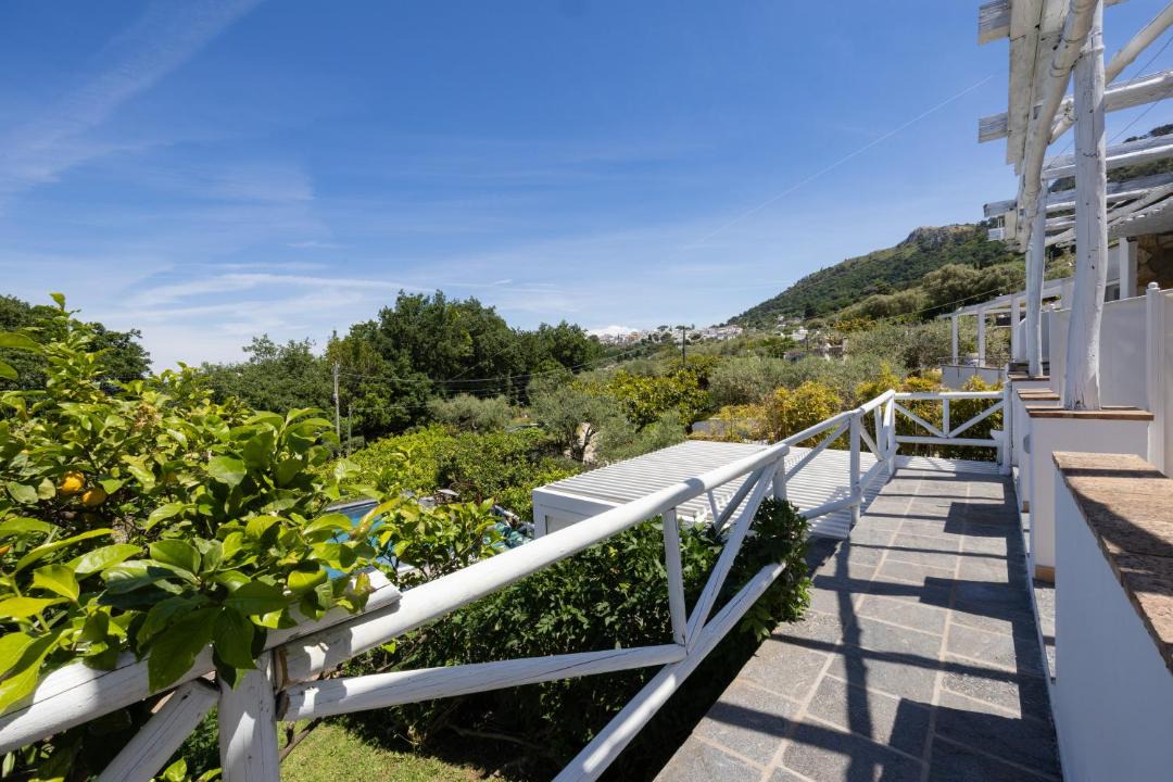 Photo of Others in Anacapri