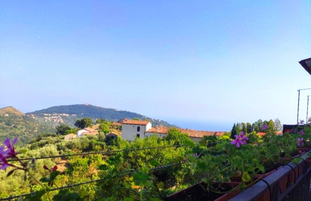 Photo of Others in San Mauro Cilento