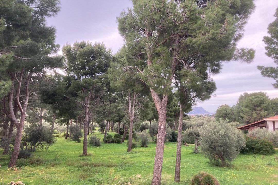 Photo of Others in Mandra Capreria