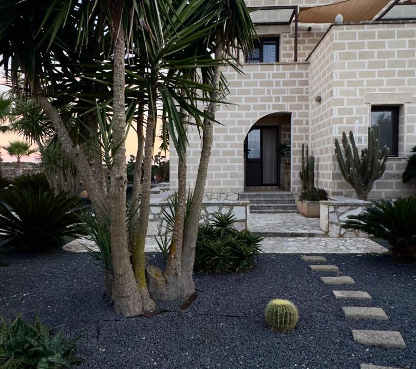 Photo of Others in Favignana