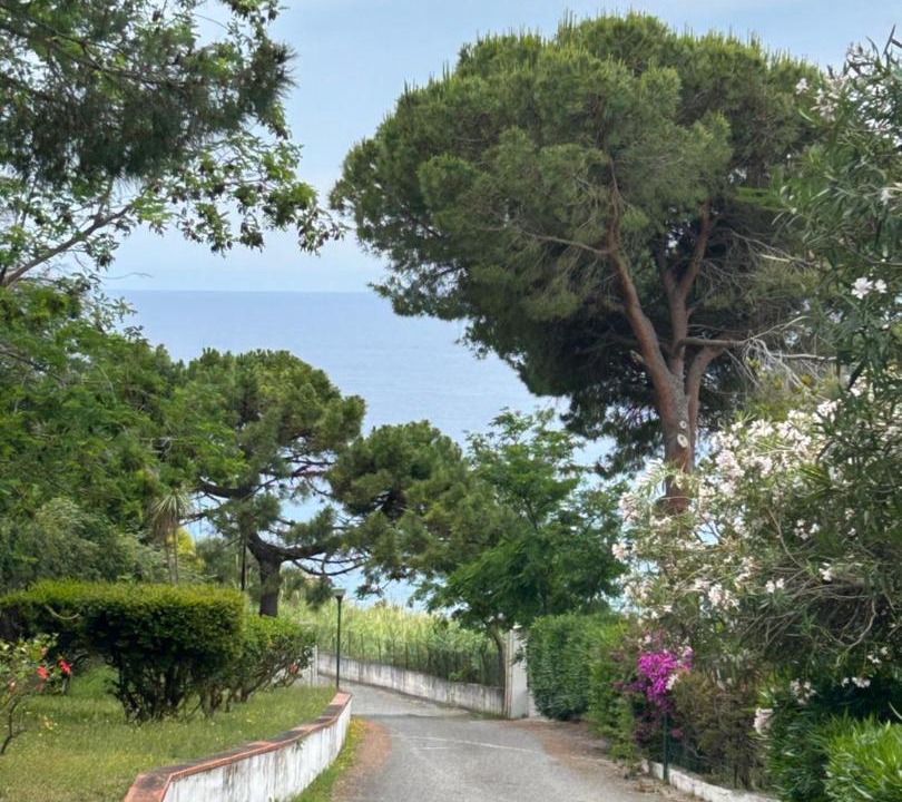 Photo of Others in Scalea