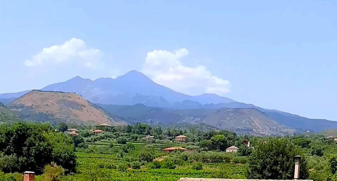 Photo of Others in Blandano