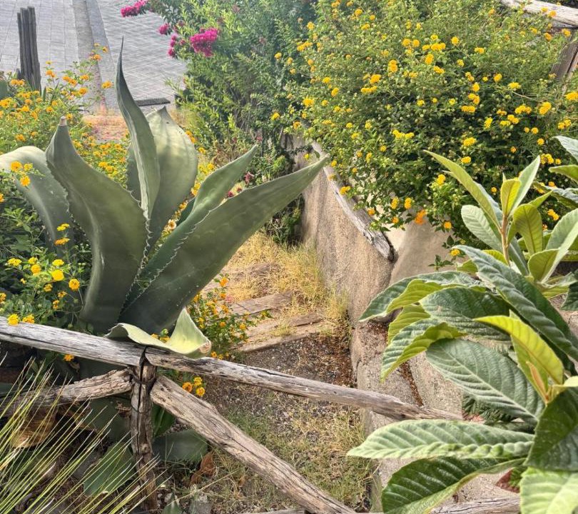 Photo of Outdoor in Pollara