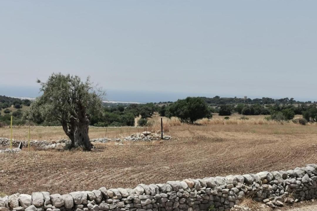 Photo of Others in Ragusa