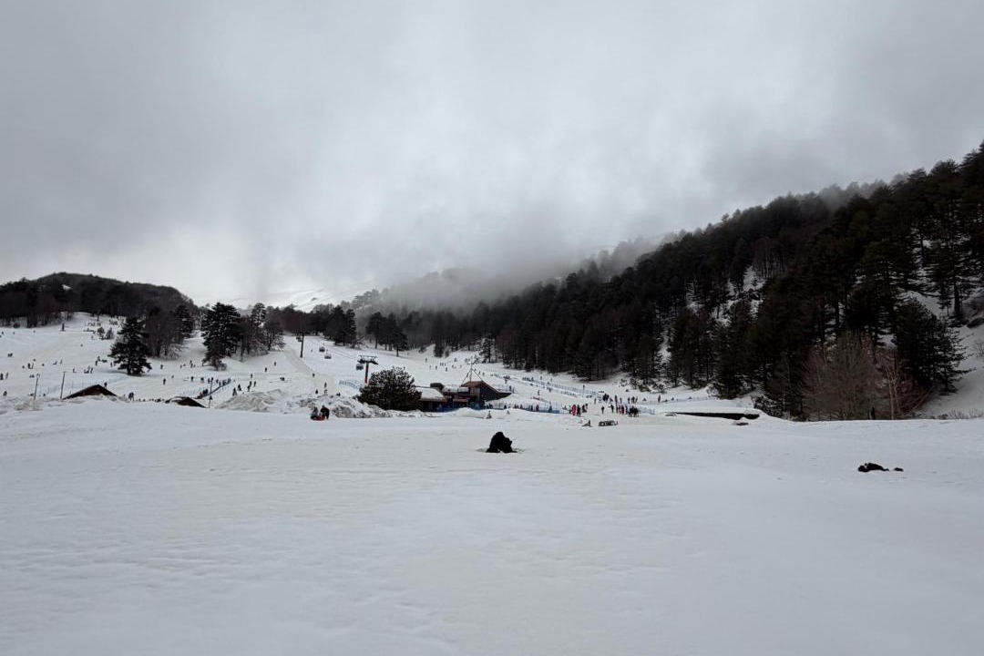 Photo of Others in Coste