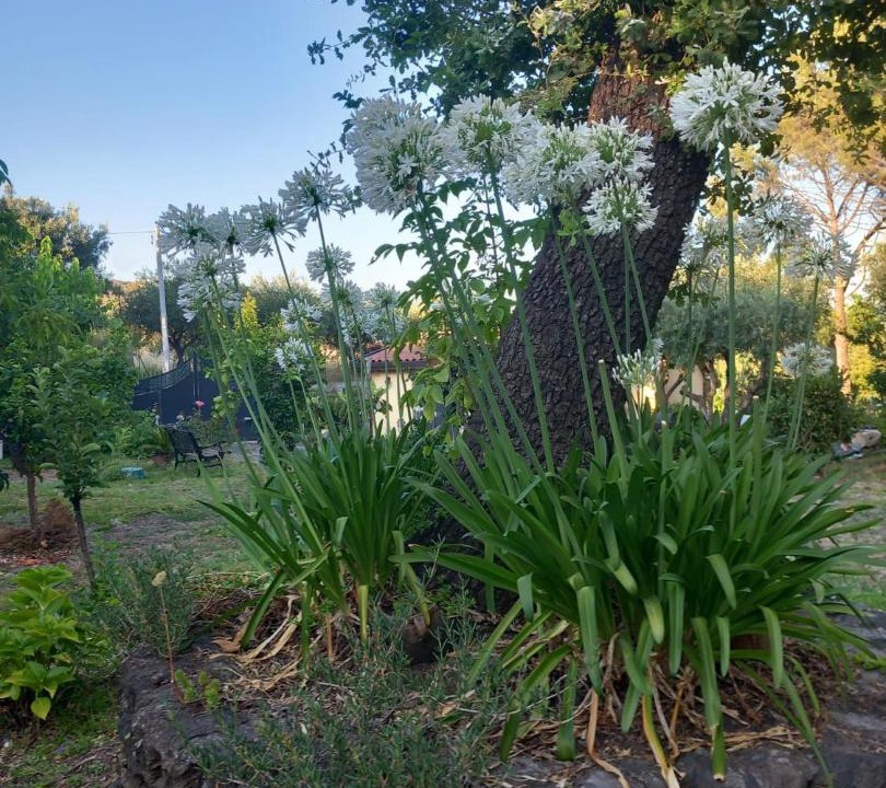 Photo of Outdoor in Piedimonte Etneo