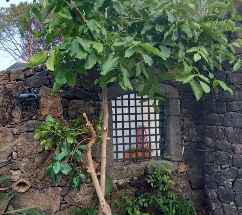 Photo of Others in Piedimonte Etneo