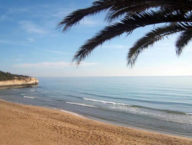 Photo of Others in Noto Marina