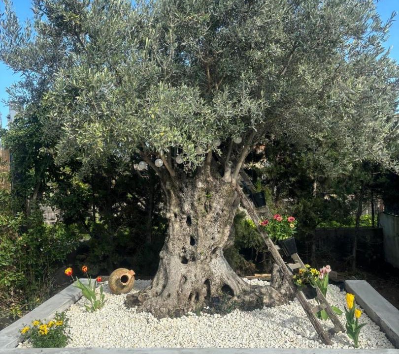 Photo of Others in Vaccarizzo
