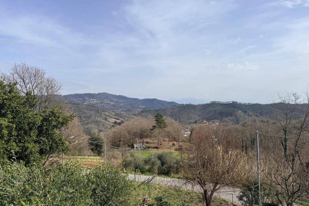 Photo of Others in Ricco del Golfo di Spezia