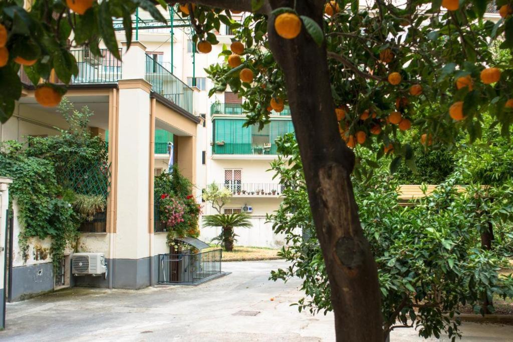 Photo of Others in Portici