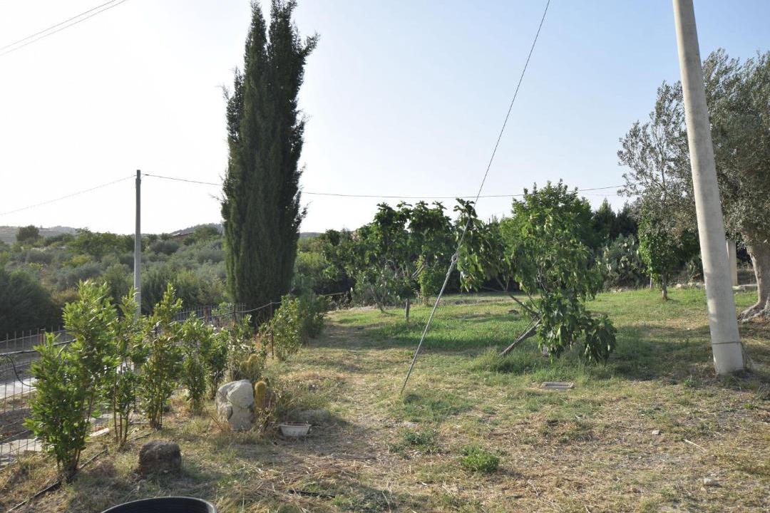 Photo of Others in Giarratana