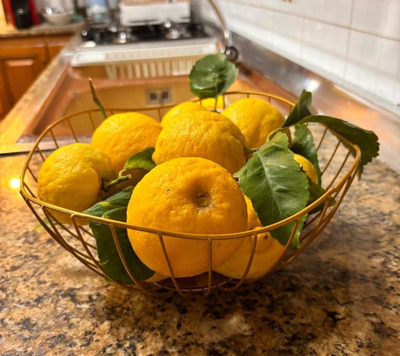 Photo of Kitchen in Chianchitta-Pallio