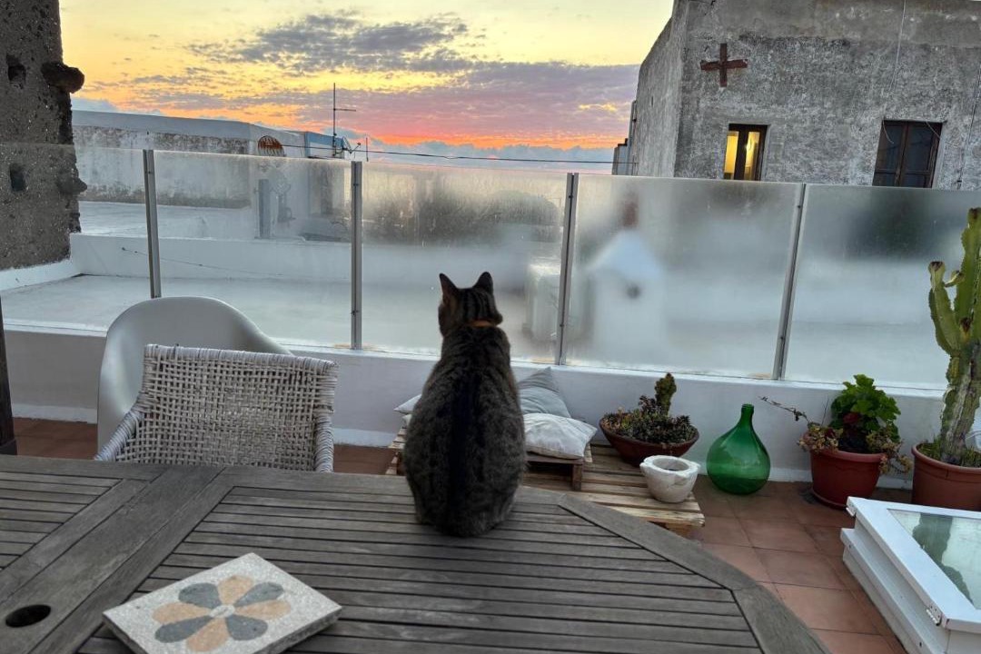 Photo of Patio Balcony in San Vincenzo