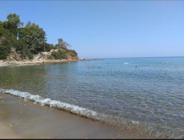 Photo of Others in Mazzaforno