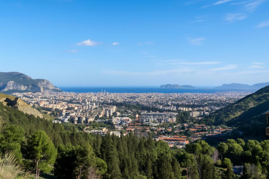 Photo of Others in Palermo