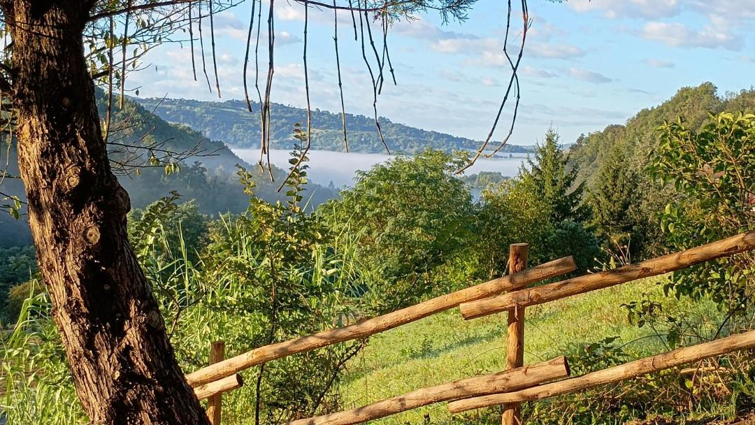 Photo of Others in Bistagno