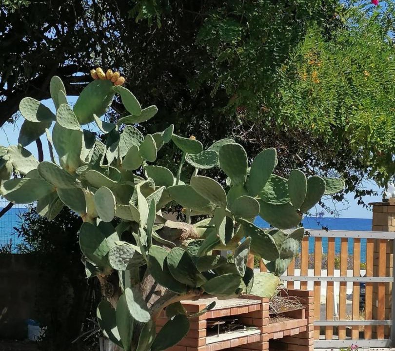 Photo of Others in Crotone