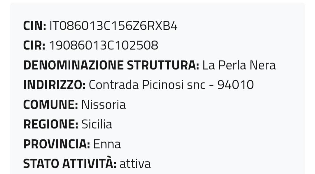 Photo of Others in Nissoria
