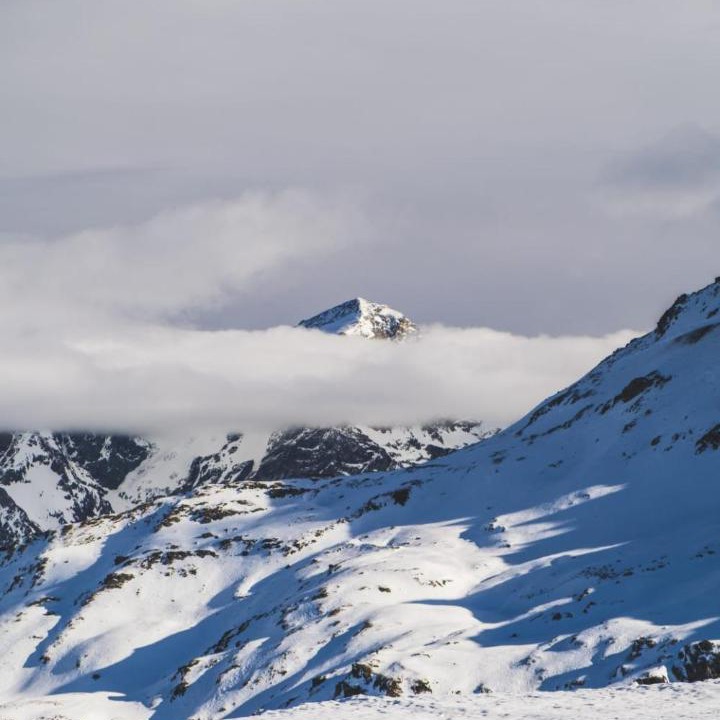 Photo of Others in Pedara