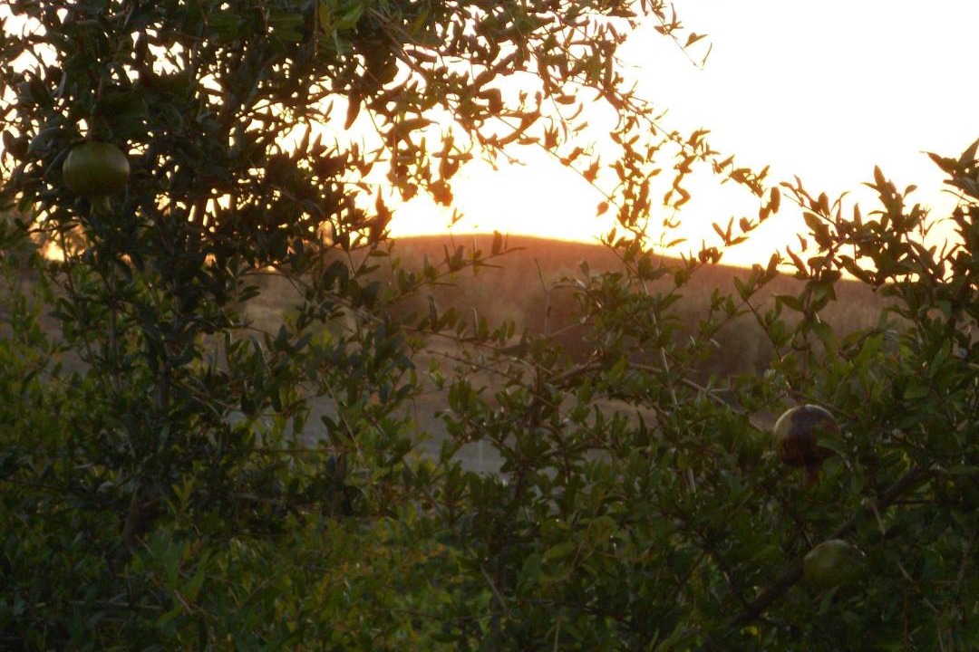 Photo of Others in Strongoli