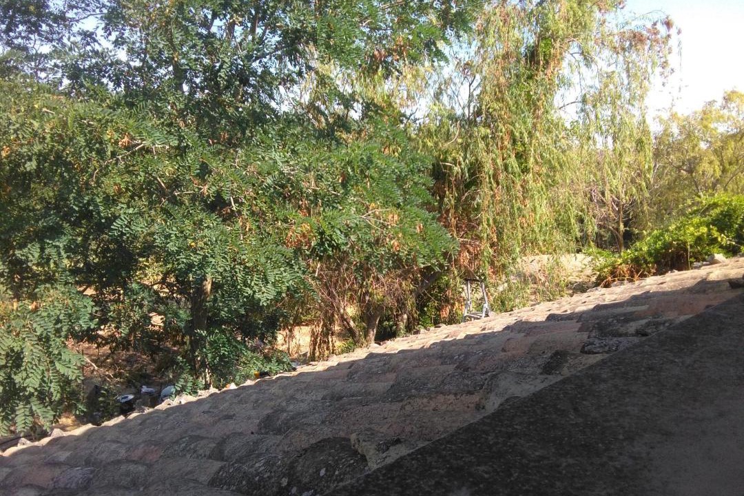 Photo of Outdoor in Casa Papa