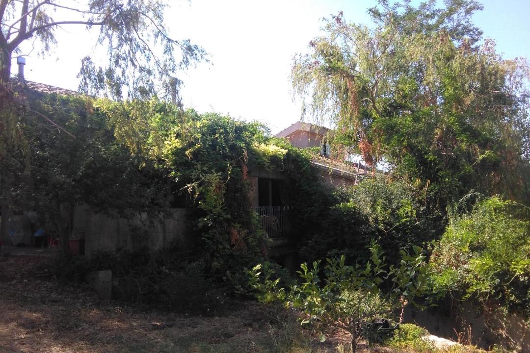 Photo of Outdoor in Casa Papa