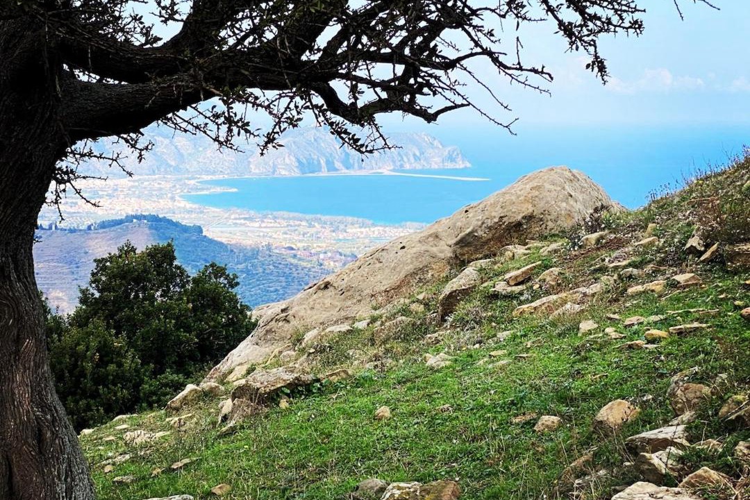 Photo of Others in Rodi Milici