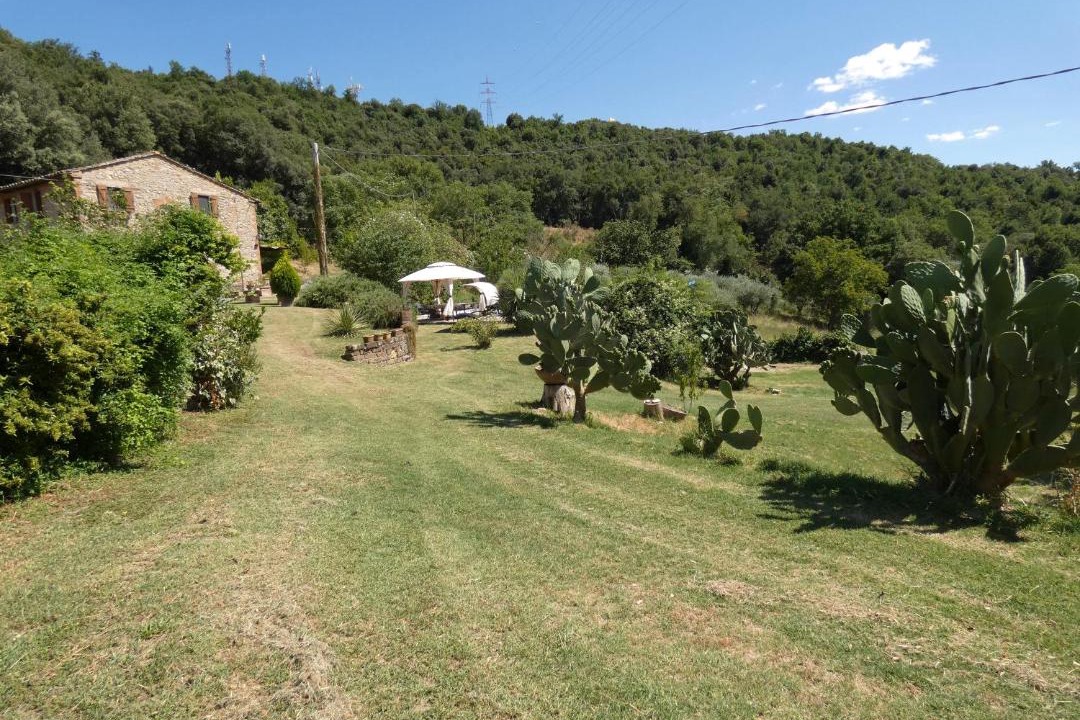 Photo of Others in Guadamello