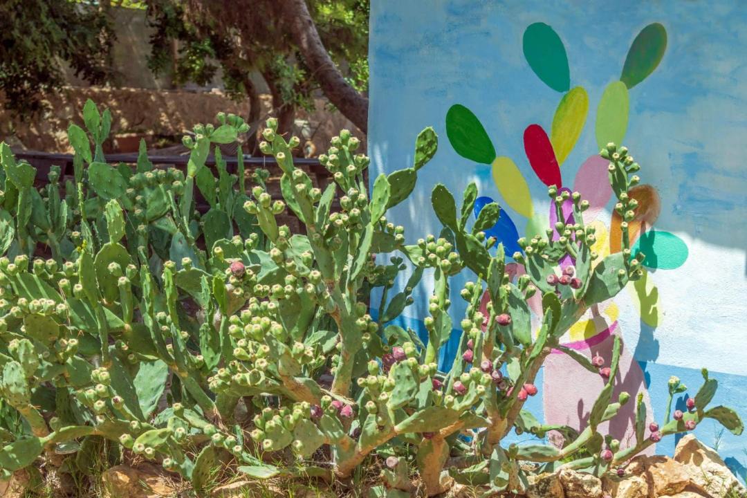Photo of Others in Lampedusa