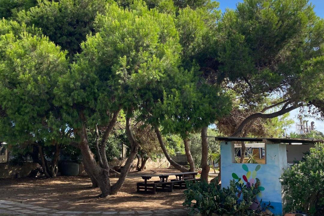 Photo of Others in Lampedusa