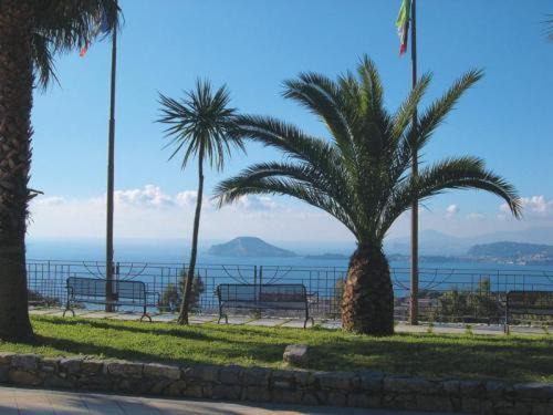 Photo of Others in Pozzuoli